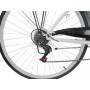 DENVER BIKE BICICLETTA TREKKING 28'' ACCIAIO DONNA - MD WebStore