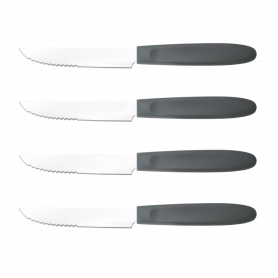MD CASA SET COLTELLI BISTECCA 4PZ - MD WebStore