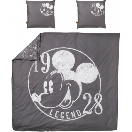 DISNEY COPRIPIUMINO SINGOLO CON FEDERE - MD WebStore