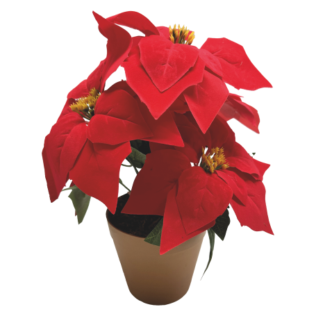 MD CASA STELLA DI NATALE 32CM - MD WebStore