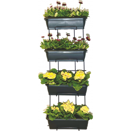 SET CASSETTE CON RISERVA D'ACQUA 4PZ