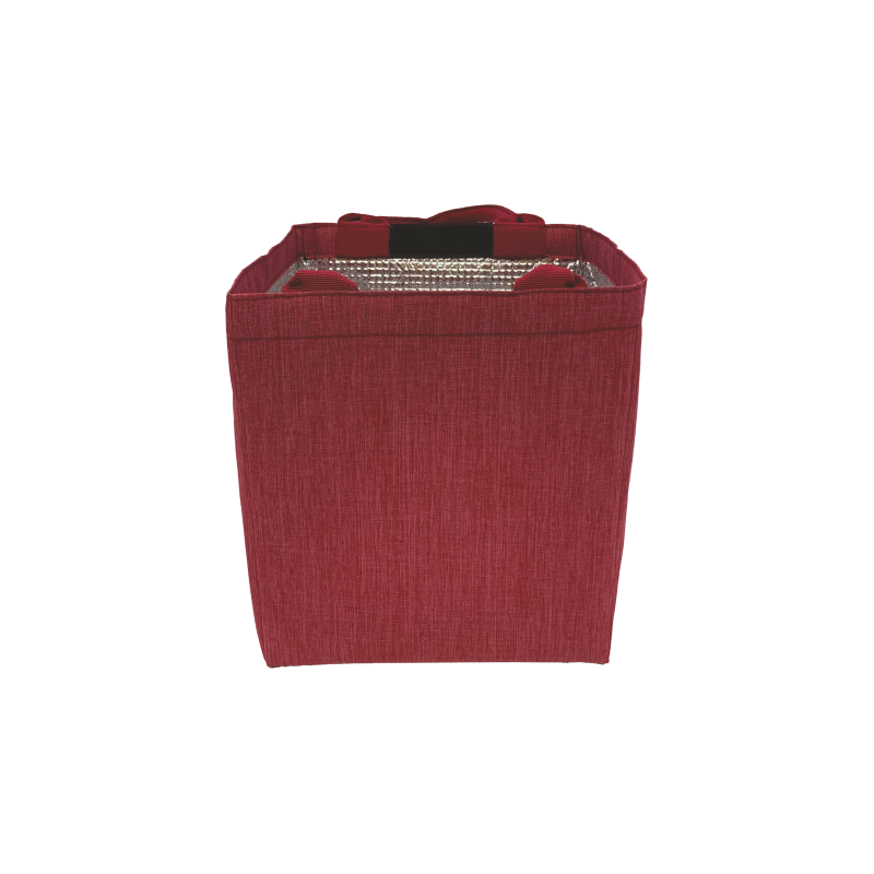 LUNCH BOX 20x17Hx23.5CM COLORI VARI