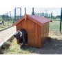 FORESTA NC0711.01 CUCCIA PICCOLA CON PAVIMENTO 0.59 MQ - MD WebStore