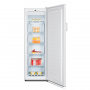HISENSE FV245N4AW2 CONGELATORE VERTICALE 186 LT - MD WebStore