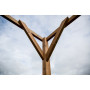FORESTA TH3030 PERGOLA IN LEGNO - MD WebStore