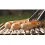 CASUSGRILL BARBECUE USA E GETTA PORTATILE ECOLOGICO - MD WebStore