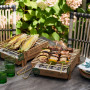 CASUSGRILL BARBECUE USA E GETTA PORTATILE ECOLOGICO - MD WebStore