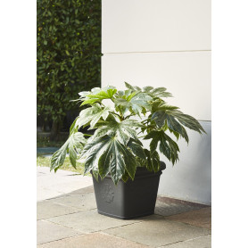 MD GARDEN VASO ANTICO QUADRATO ANTRACITE E GRIGIO - MD WebStore
